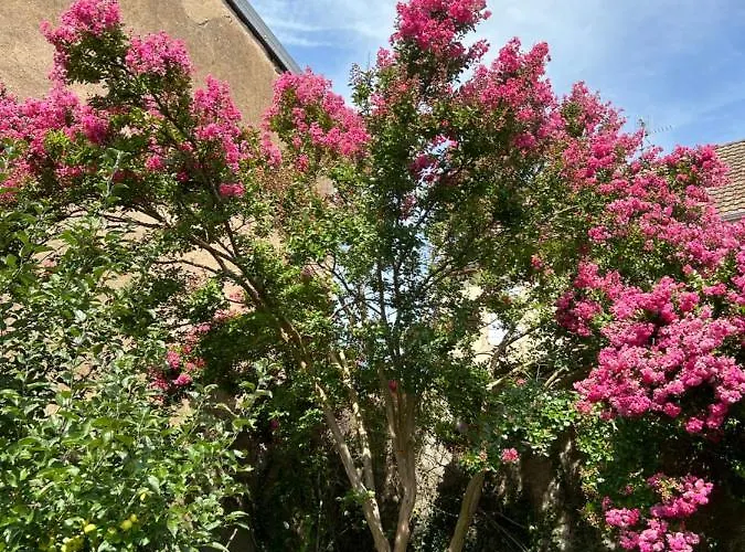 Le Rosier