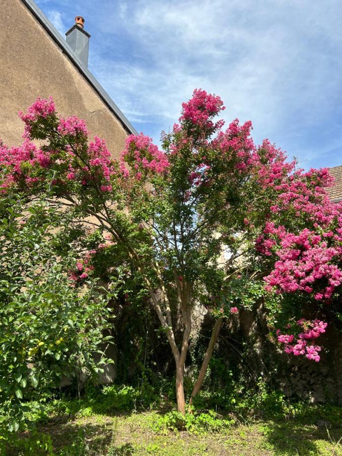 Apartment Le Rosier Lure (Haute-Saone)